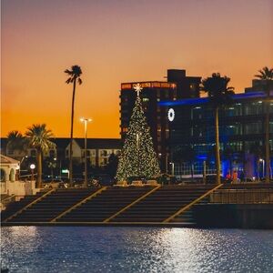 Illuminated Holiday Tree Decoration